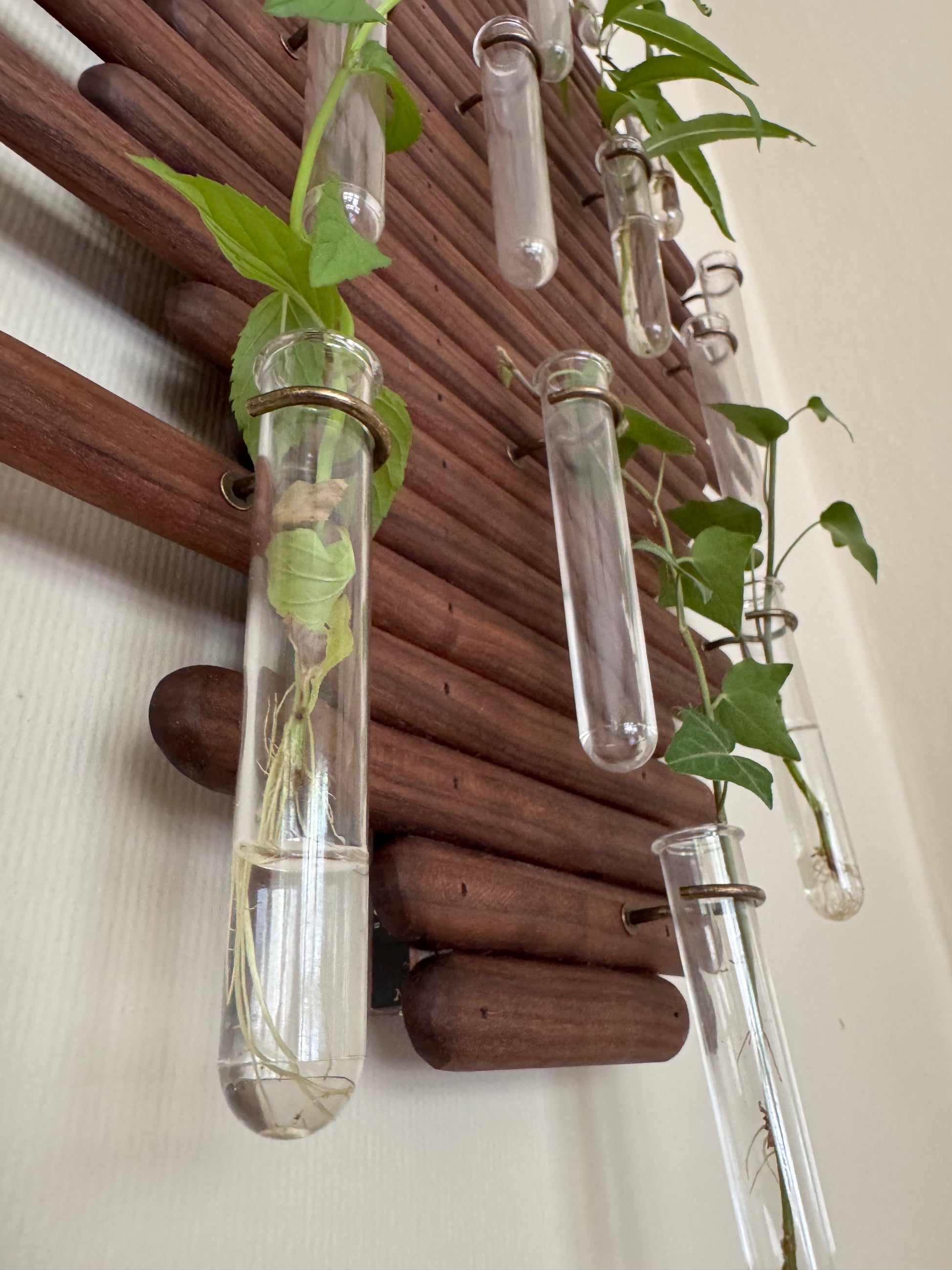 test tube plant hanger Plant Propagation Station Wall Art - Handmade Boho Decor