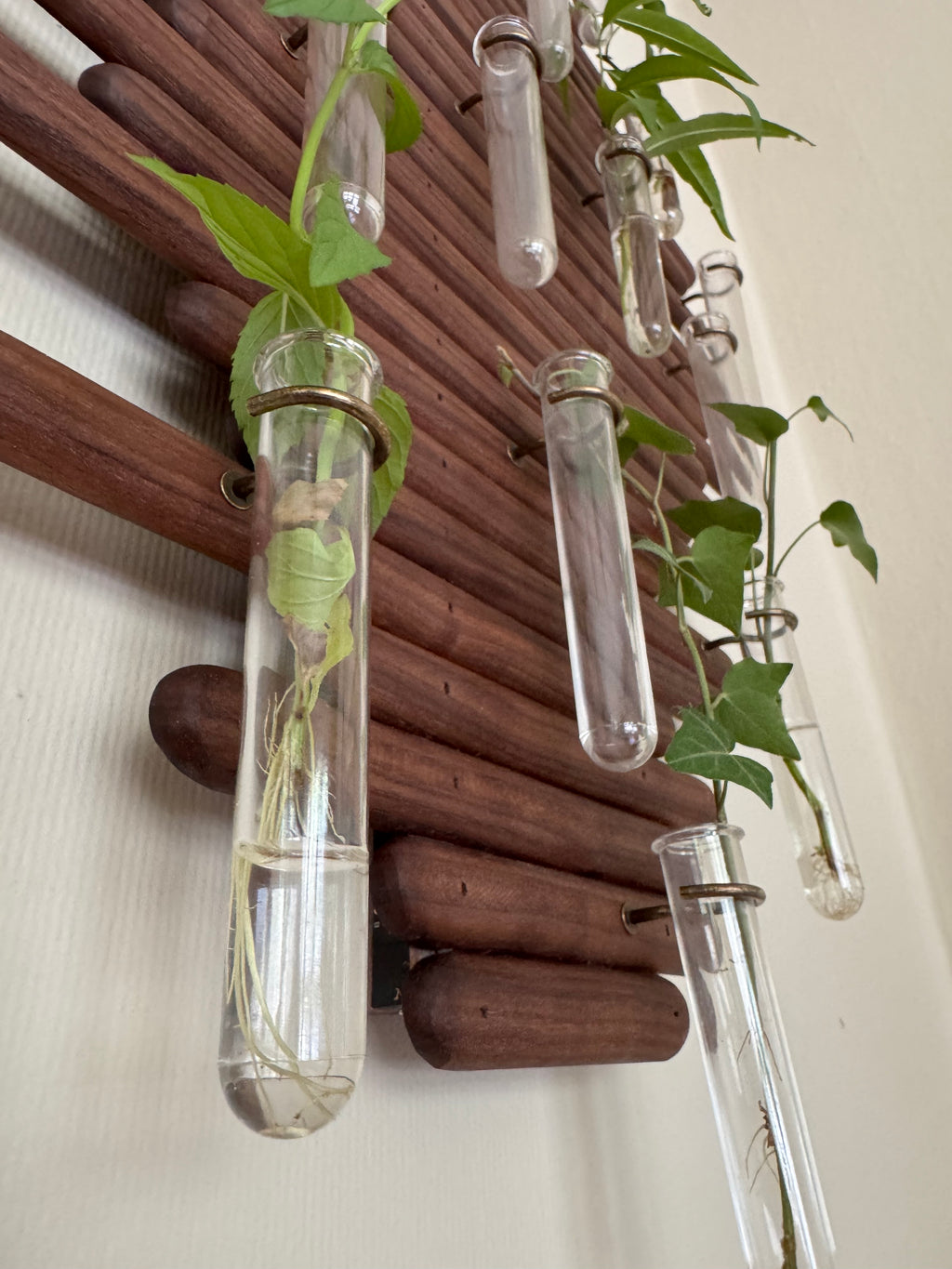 Plant Propagation Station Wall Art - Handmade Boho Decor