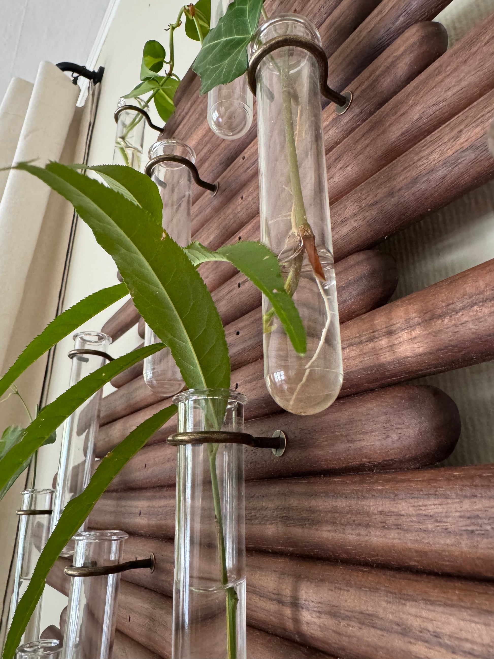Plant Propagation Station Wall Art - Handmade Boho Decor