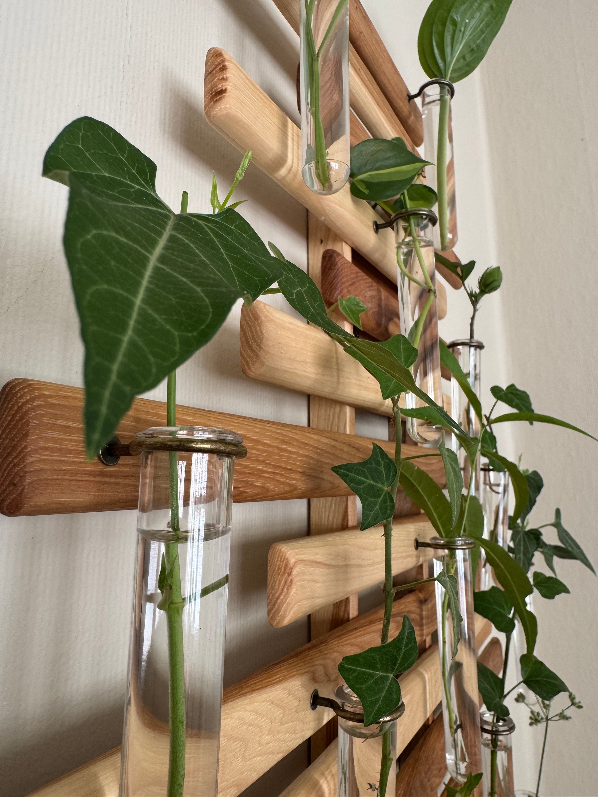 Plant Propagation Station Wall Art - Handmade Boho Decor