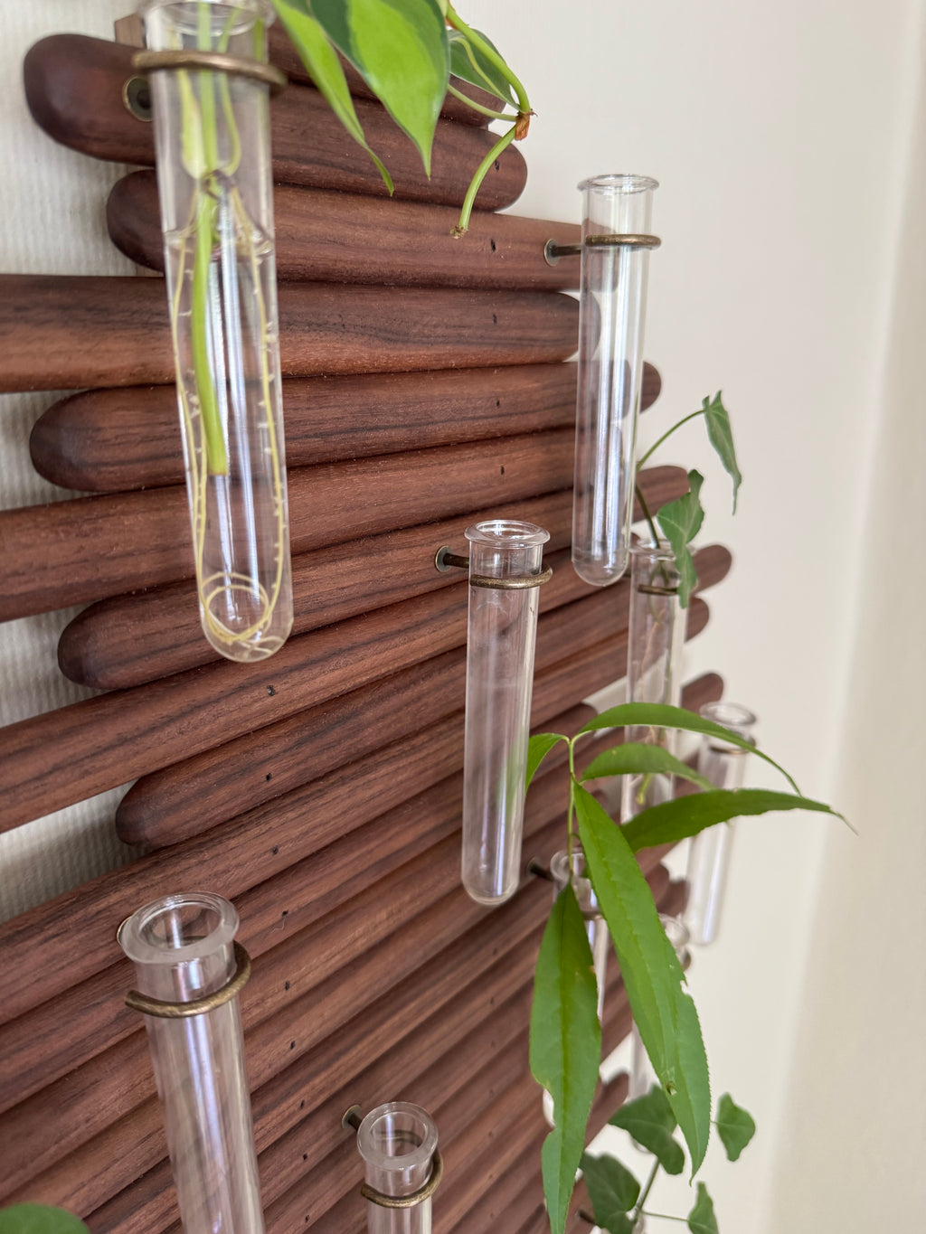Plant Propagation Station Wall Art - Handmade Boho Decor