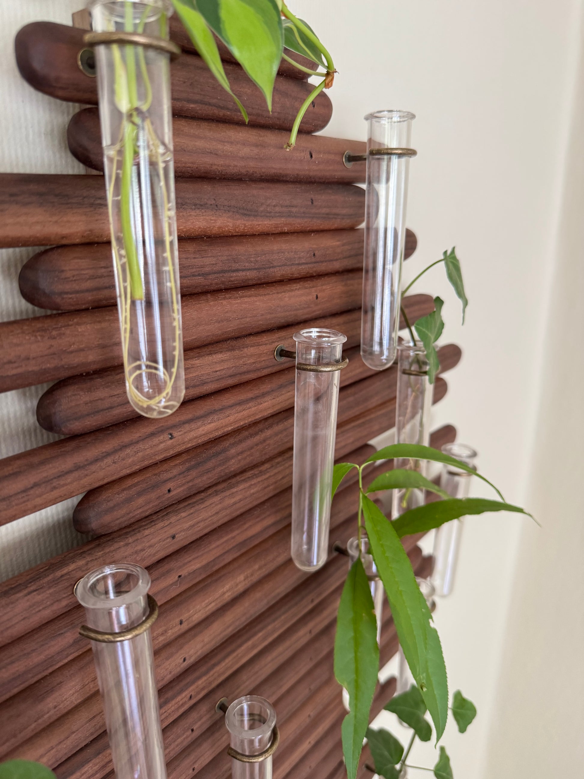 Plant Propagation Station Wall Art - Handmade Boho Decor