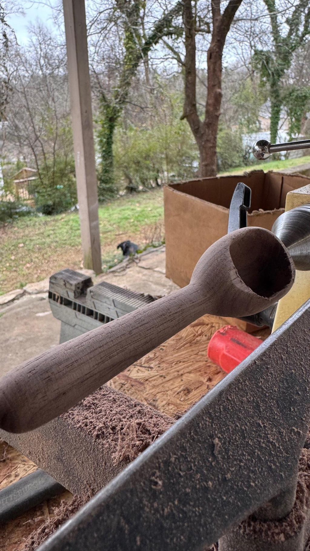Walnut Coffee Scoop