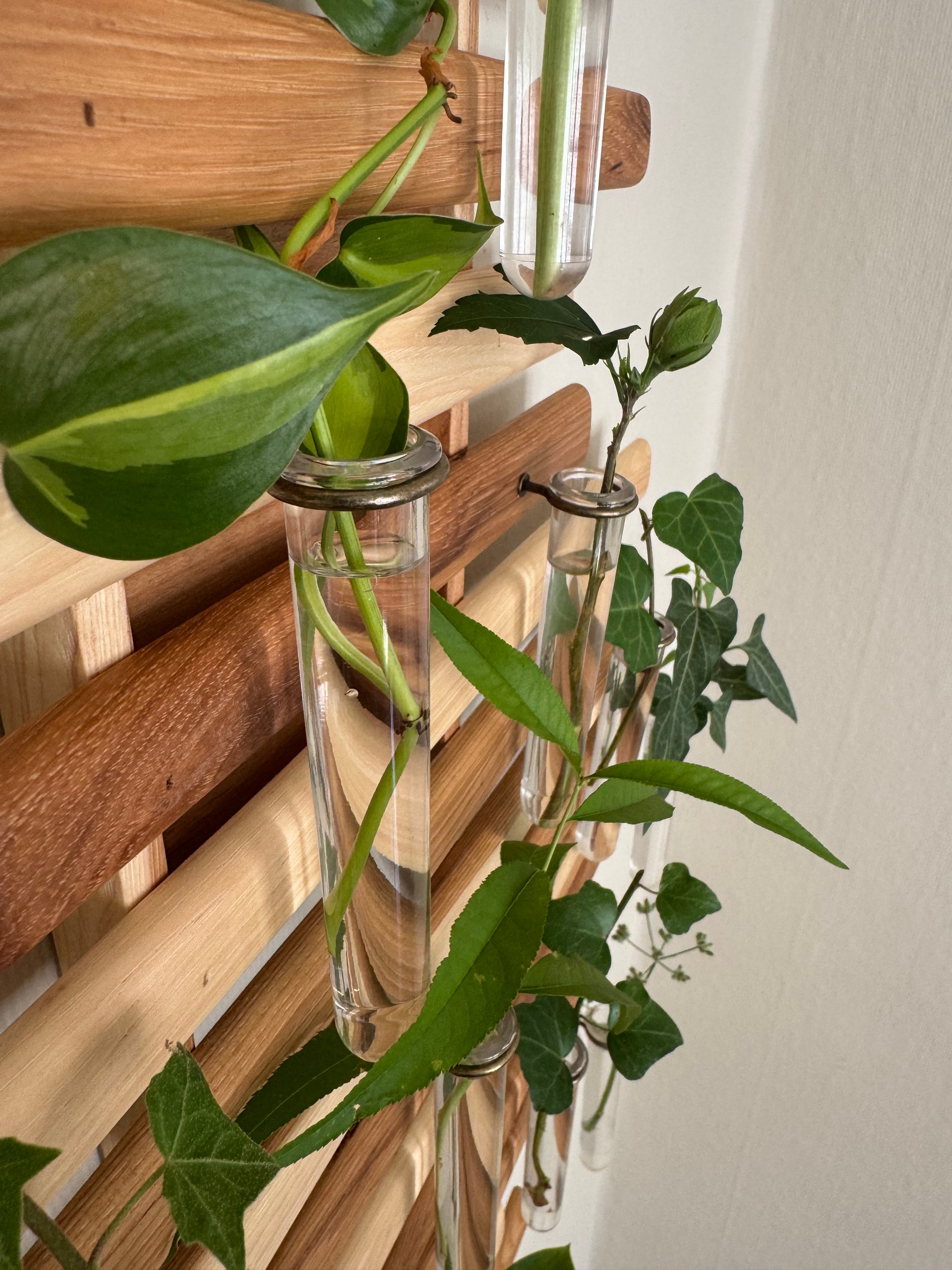 Plant Propagation Station Wall Art - Handmade Boho Decor