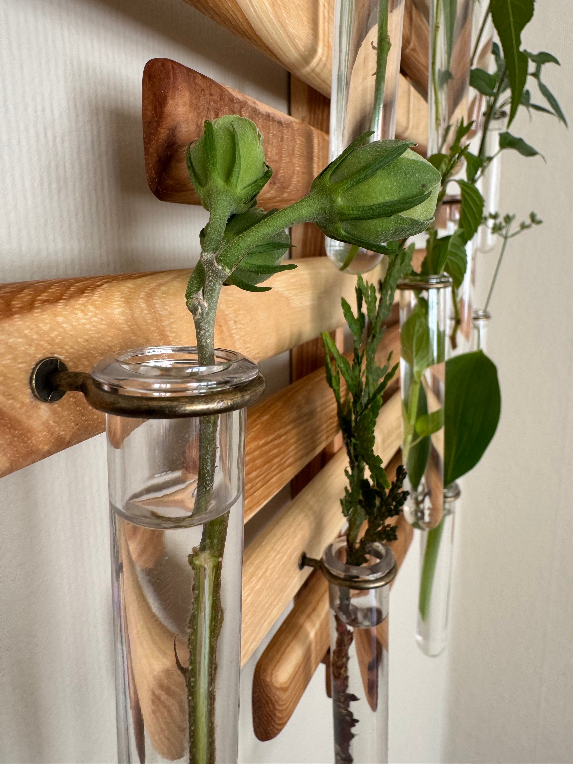 Plant Propagation Station Wall Art - Handmade Boho Decor