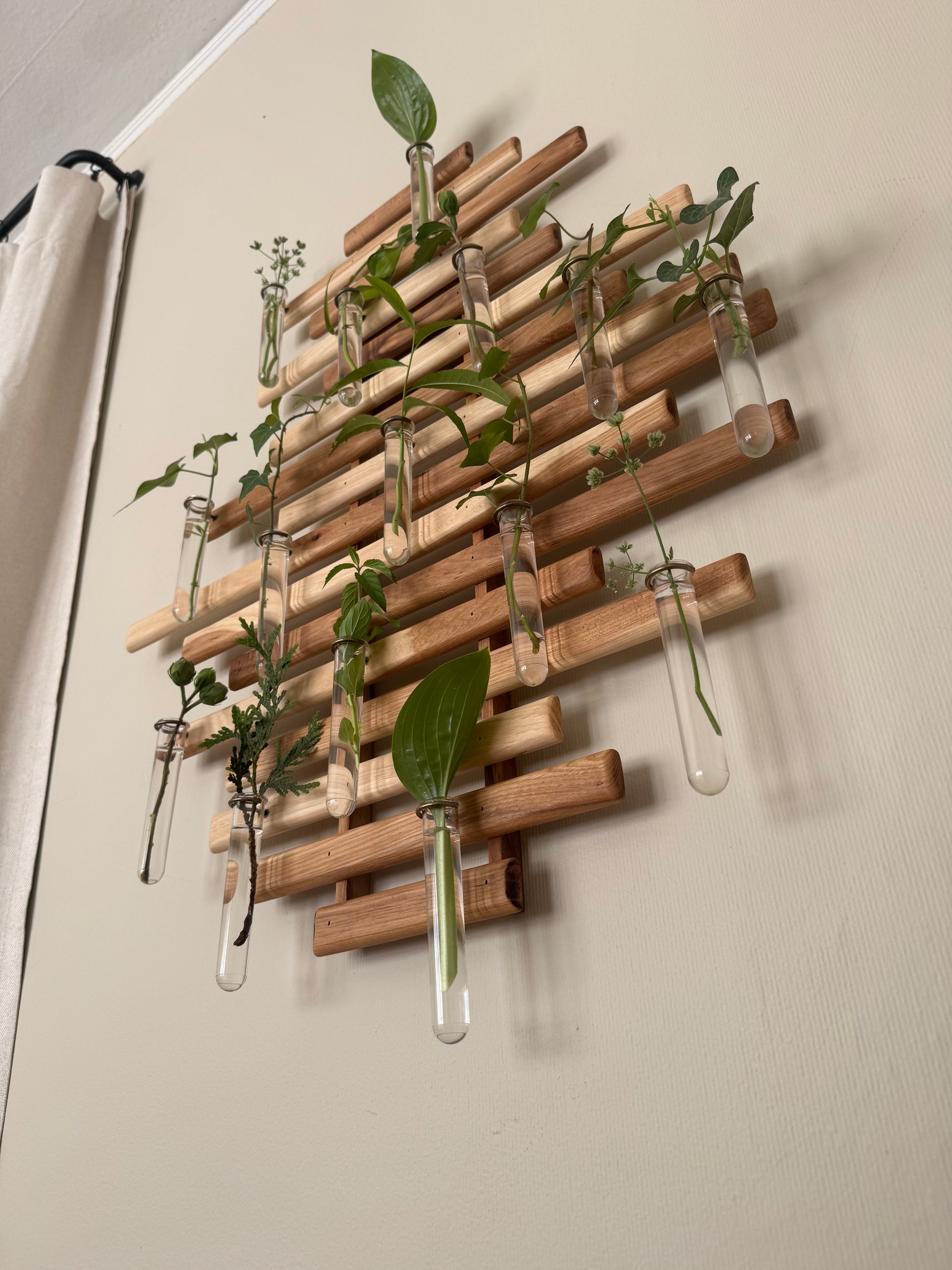Plant Propagation Station Wall Art - Handmade Boho Decor