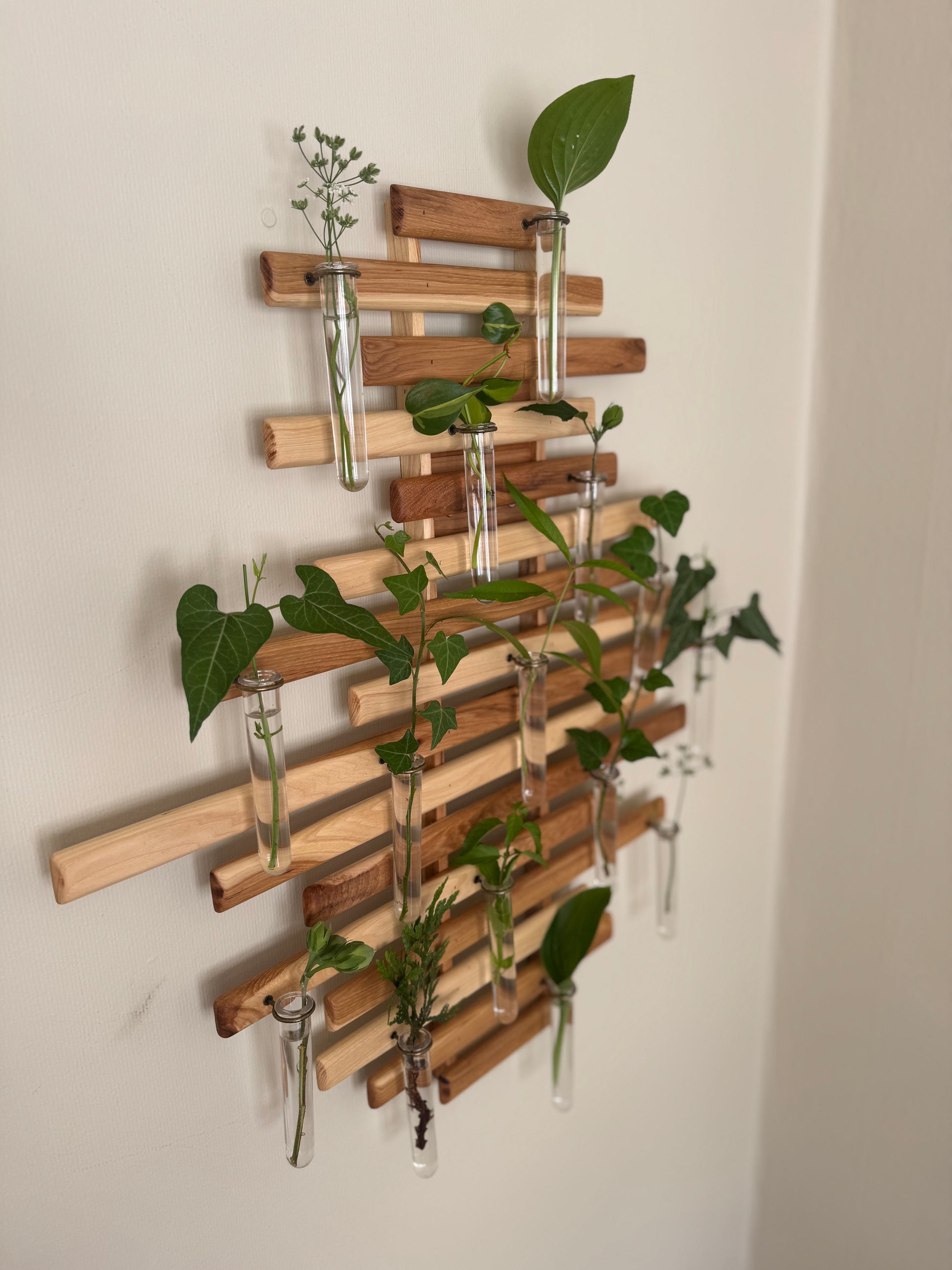 Plant Propagation Station Wall Art - Handmade Boho Decor