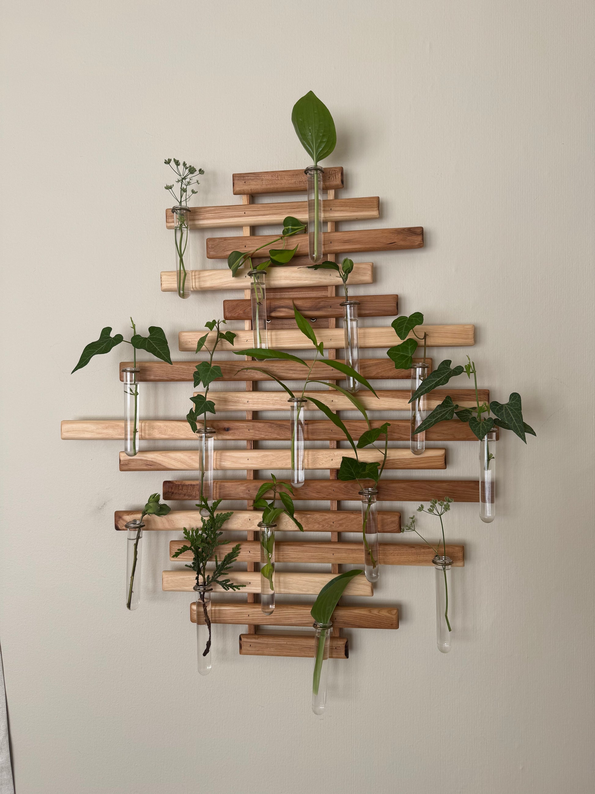 Plant Propagation Station Wall Art - Handmade Boho Decor