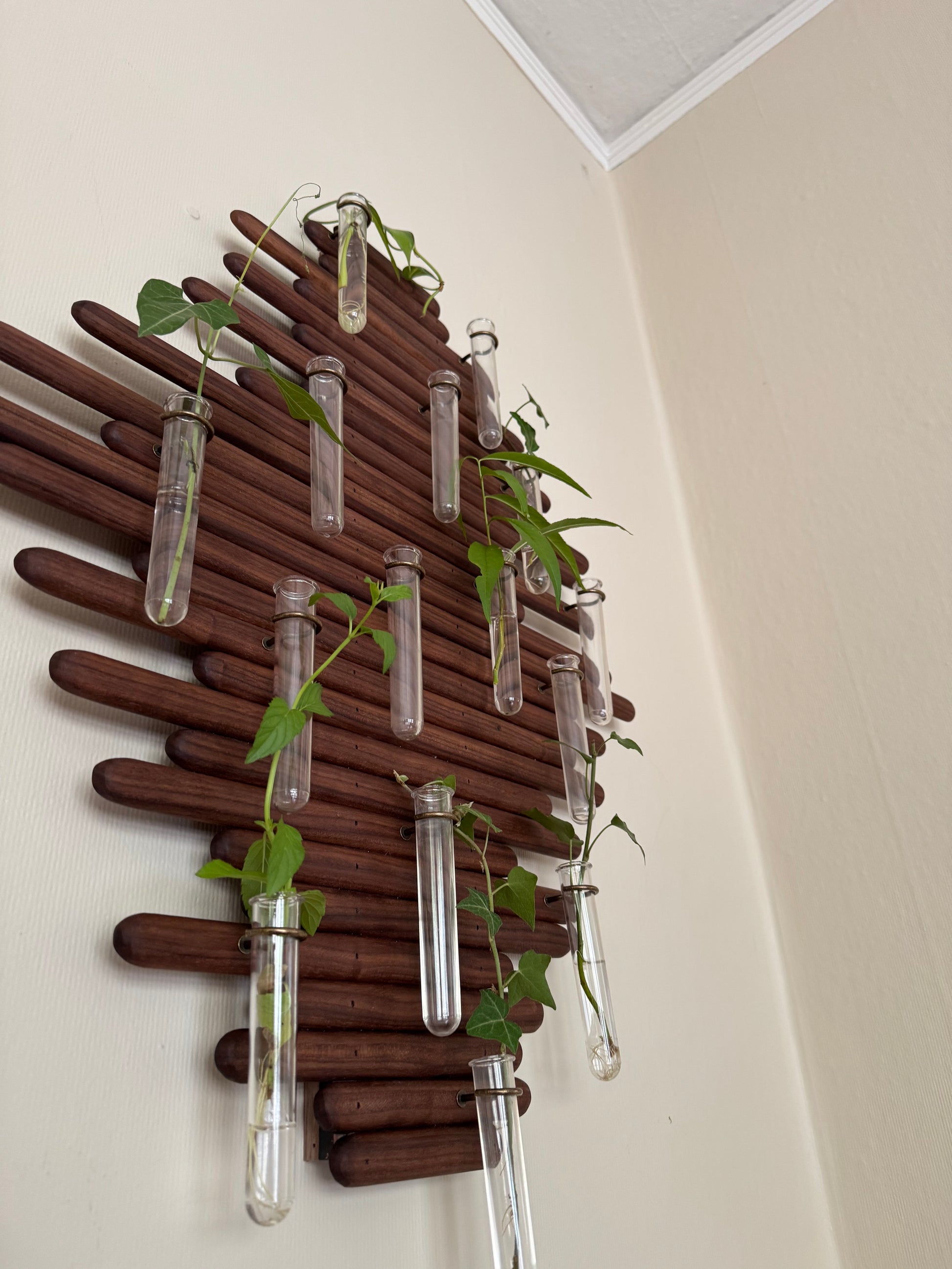 Plant Propagation Station Wall Art - Handmade Boho Decor