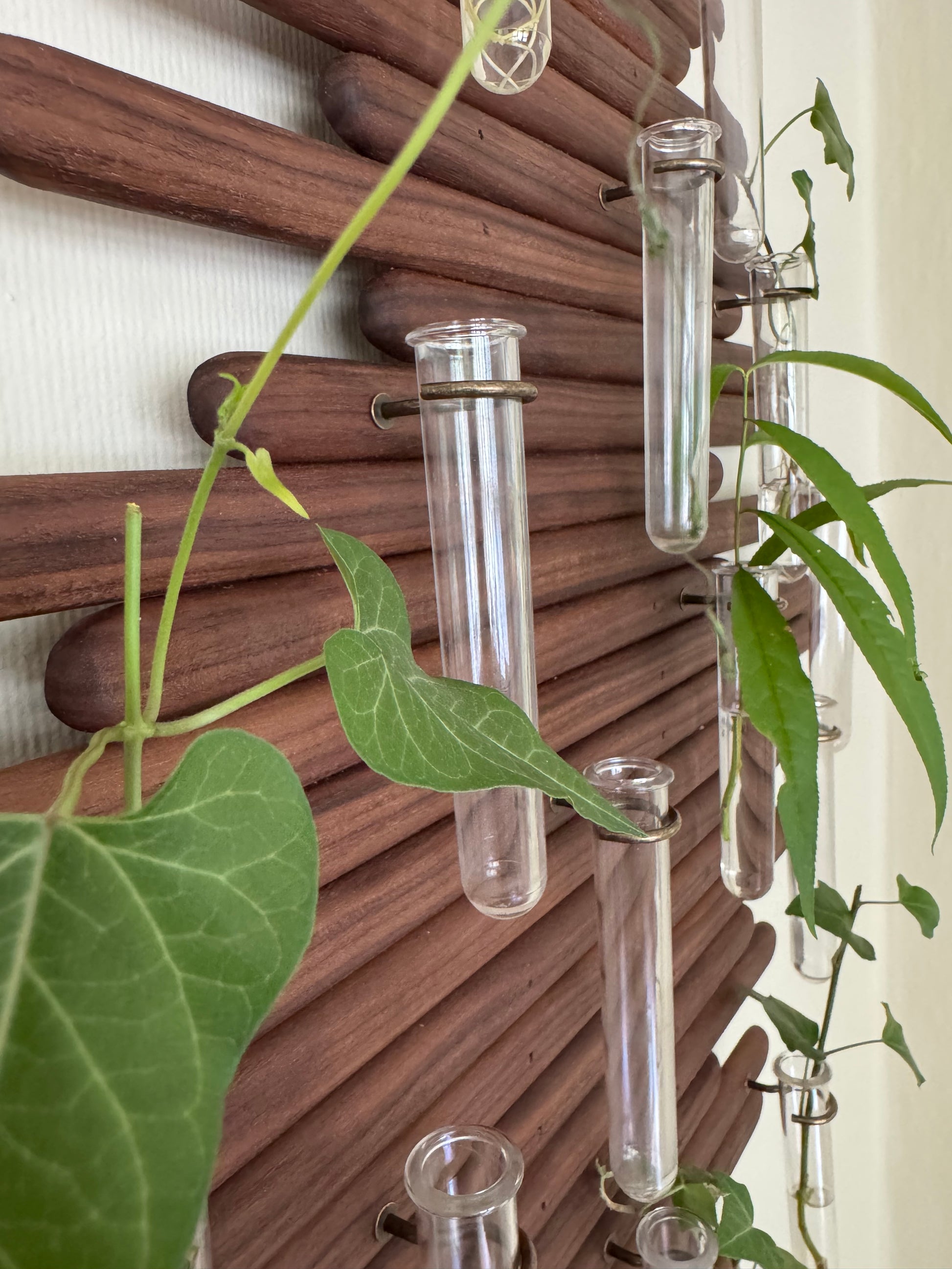 Plant Propagation Station Wall Art - Handmade Boho Decor