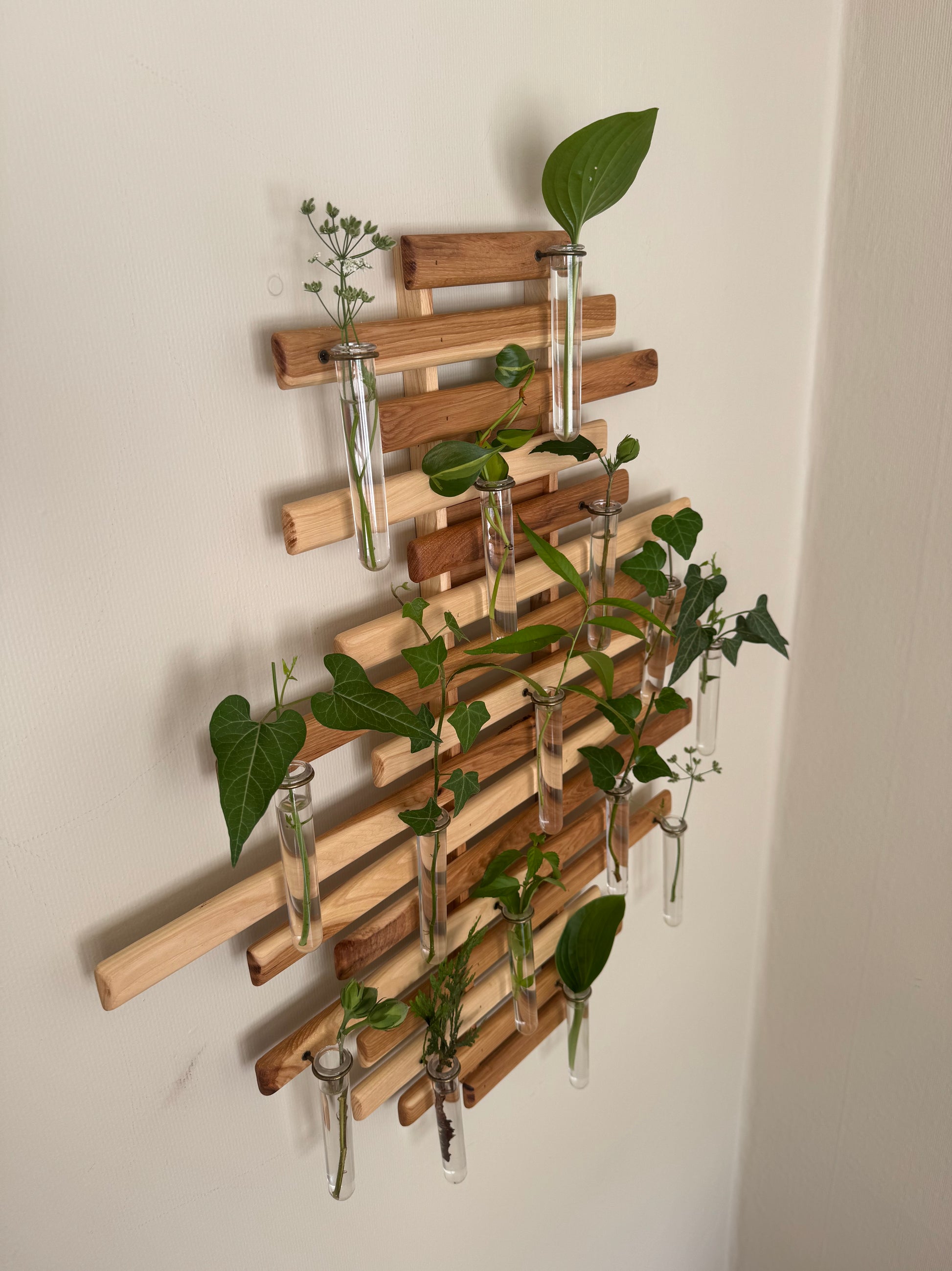 Plant Propagation Station Wall Art - Handmade Boho Decor