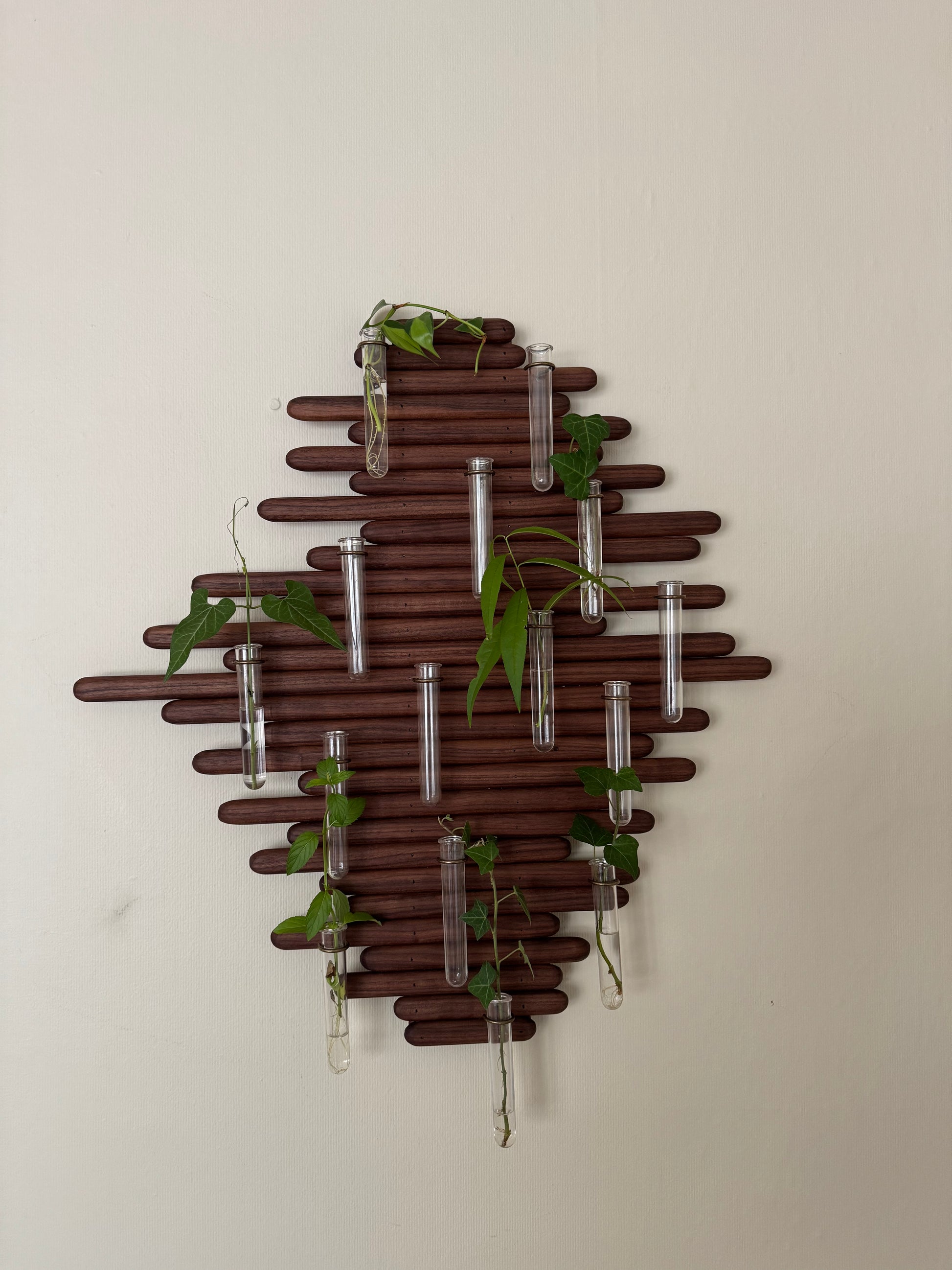 Plant Propagation Station Wall Art - Handmade Boho Decor