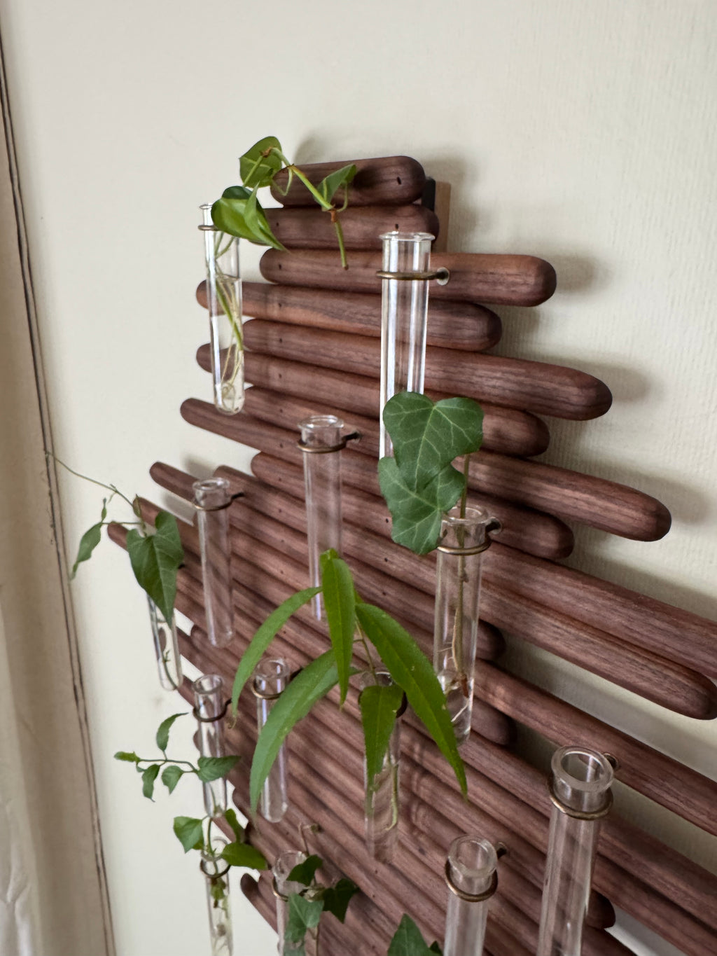 Plant Propagation Station Wall Art - Handmade Boho Decor