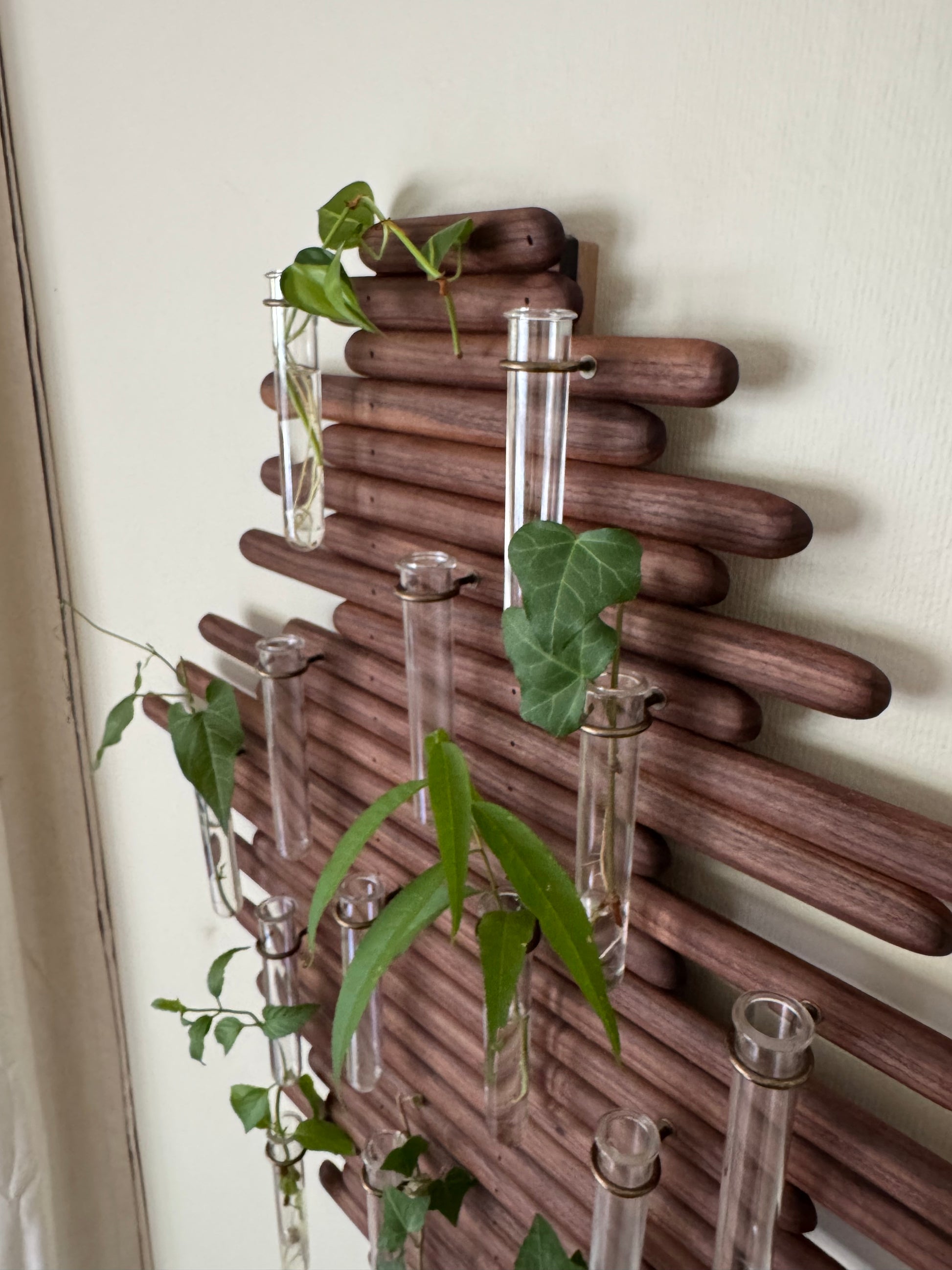 Plant Propagation Station Wall Art - Handmade Boho Decor