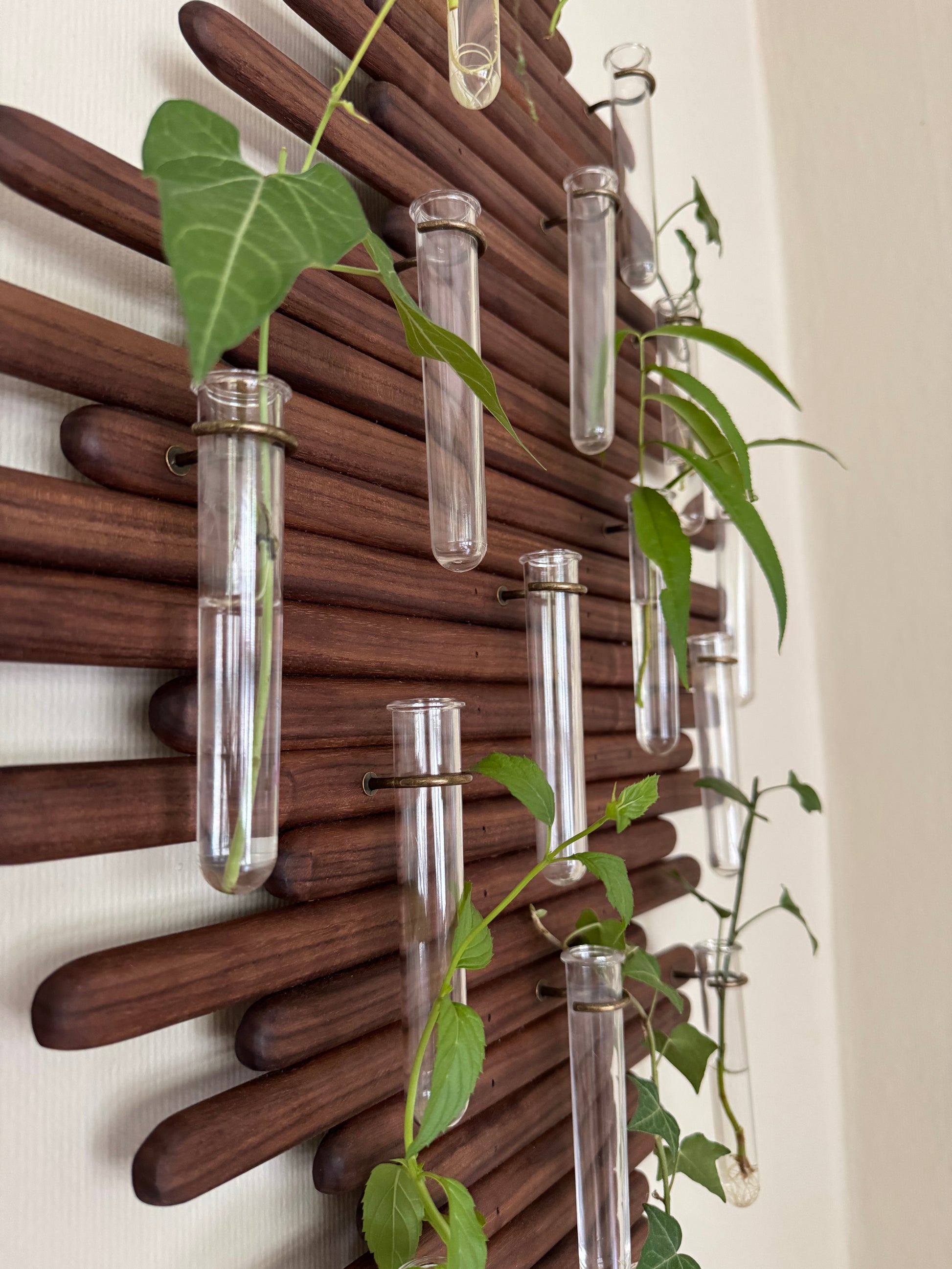 Plant Propagation Station Wall Art - Handmade Boho Decor