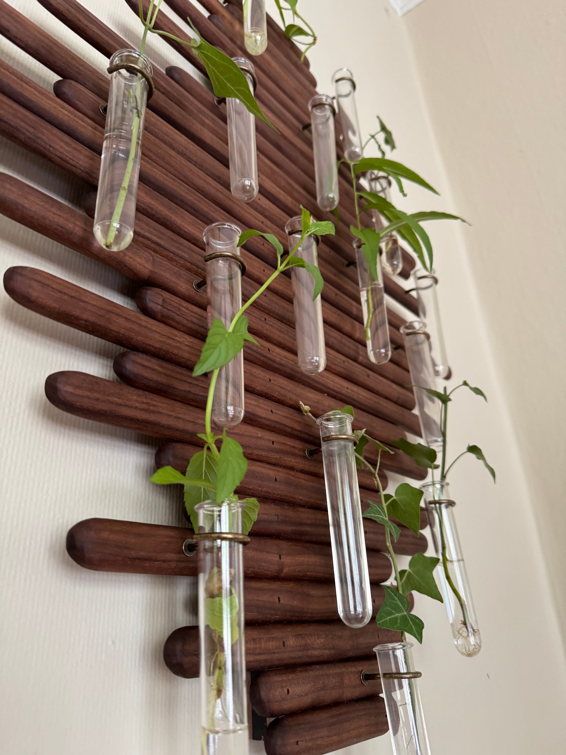 Plant Propagation Station Wall Art - Handmade Boho Decor