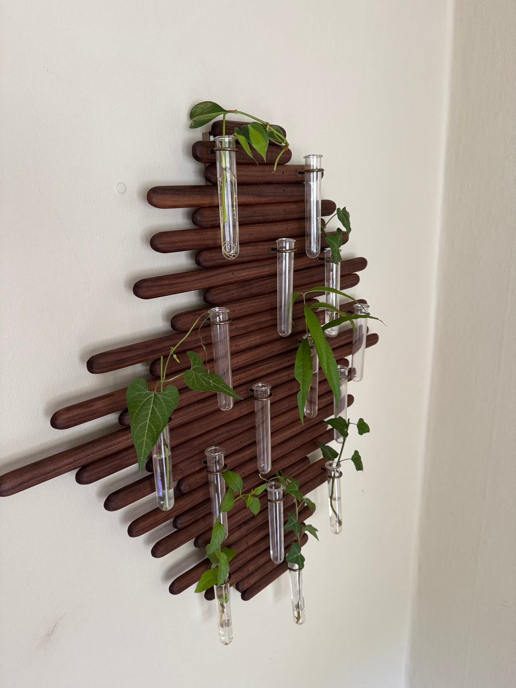 Plant Propagation Station Wall Art - Handmade Boho Decor