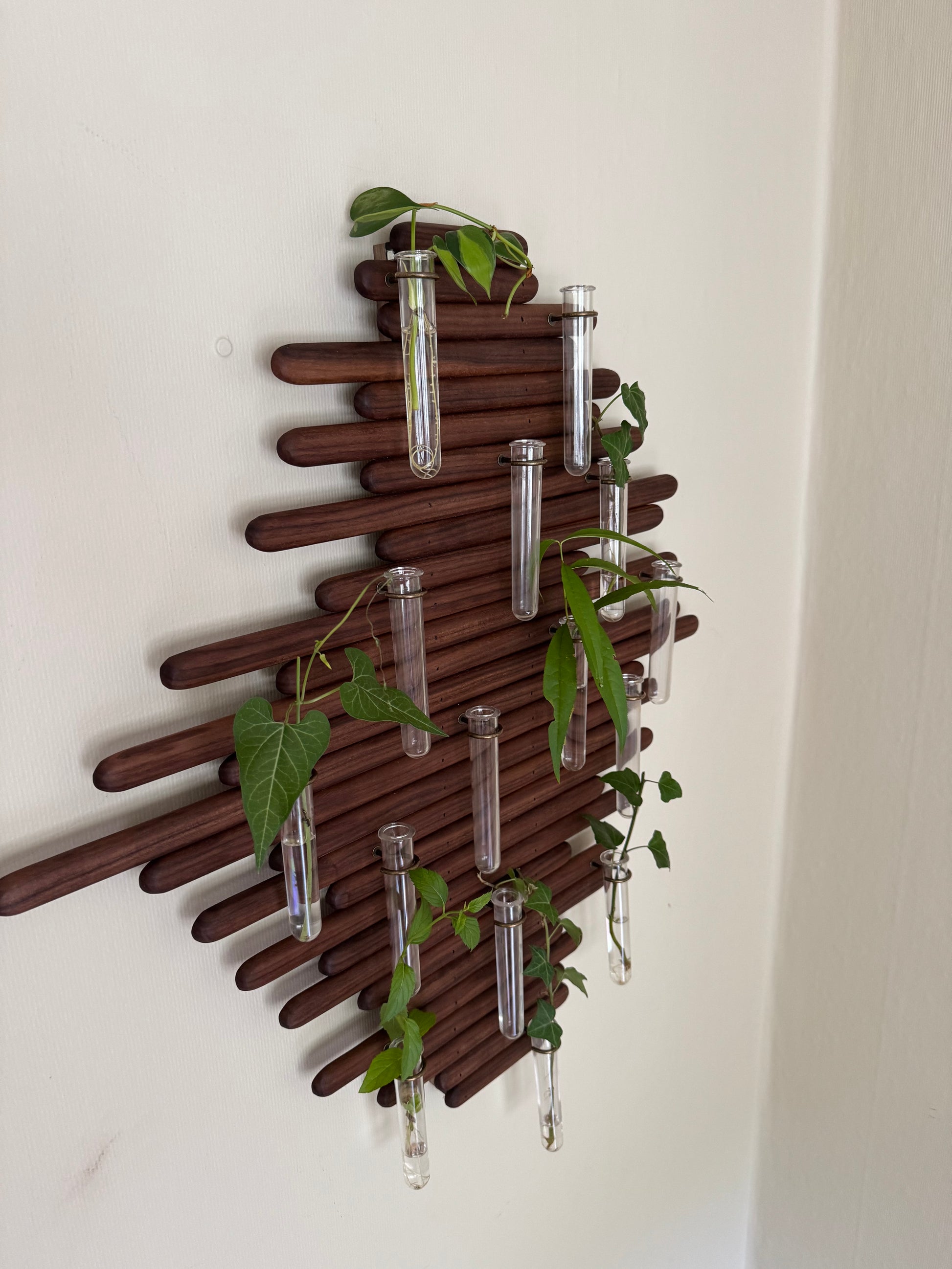 Plant Propagation Station Wall Art - Handmade Boho Decor