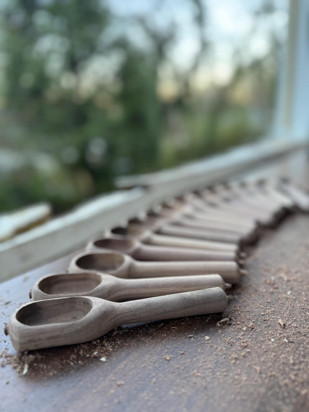 Walnut Coffee Scoop